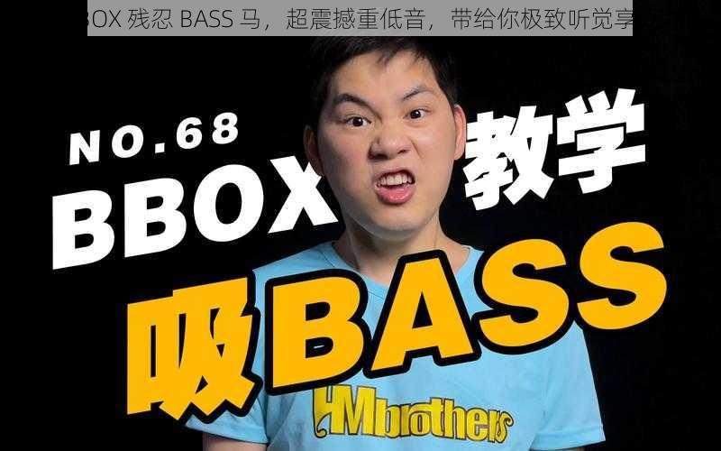 BBOX 残忍 BASS 马，超震撼重低音，带给你极致听觉享受