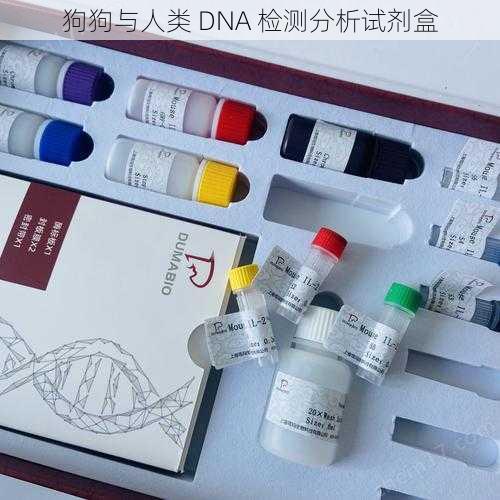 狗狗与人类 DNA 检测分析试剂盒