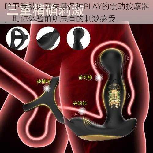 暗卫受被肉到失禁各种PLAY的震动按摩器，助你体验前所未有的刺激感受