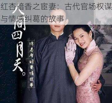 红杏暗香之宦妻：古代官场权谋与情感纠葛的故事