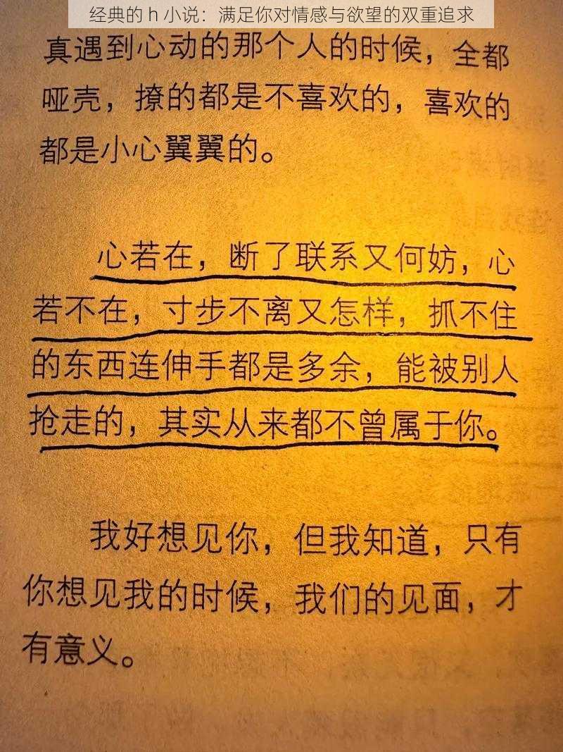 经典的 h 小说：满足你对情感与欲望的双重追求