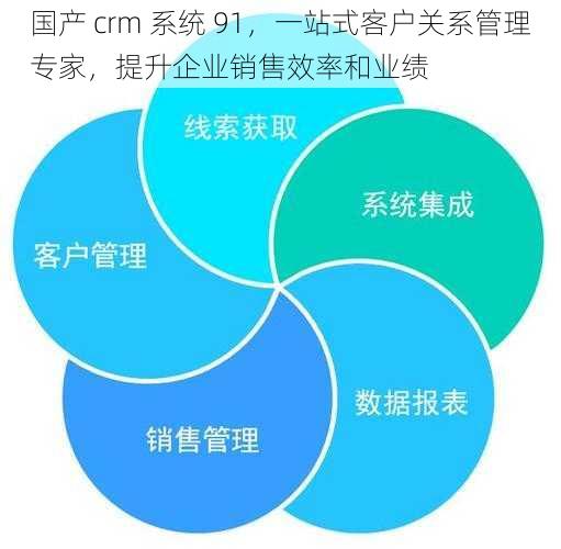 国产 crm 系统 91，一站式客户关系管理专家，提升企业销售效率和业绩