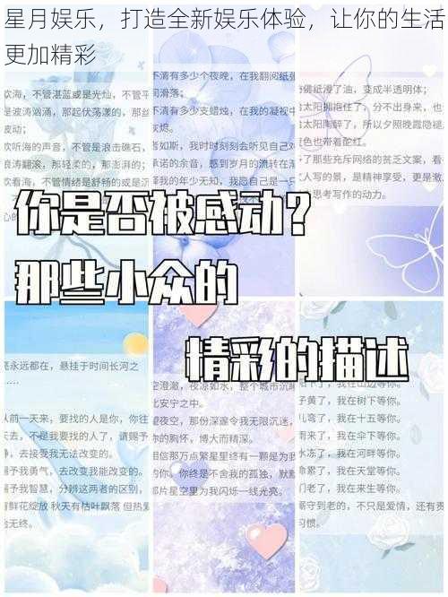 星月娱乐，打造全新娱乐体验，让你的生活更加精彩