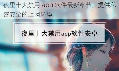 夜里十大禁用 app 软件最新章节，提供私密安全的上网环境