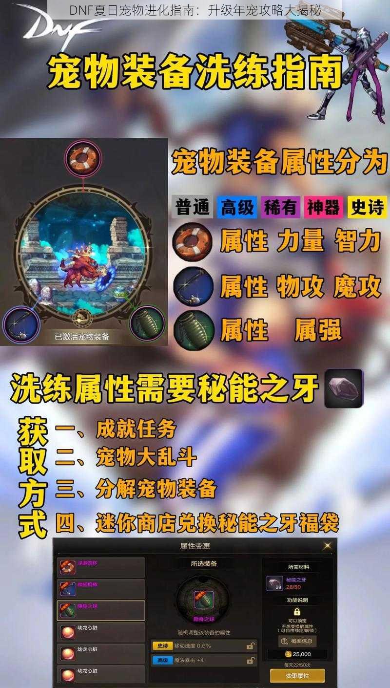 DNF夏日宠物进化指南：升级年宠攻略大揭秘