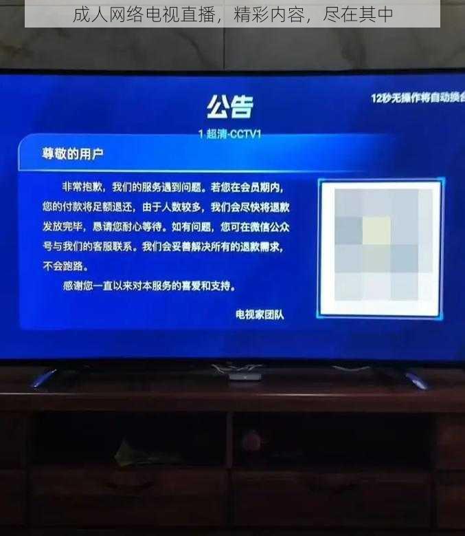 成人网络电视直播，精彩内容，尽在其中