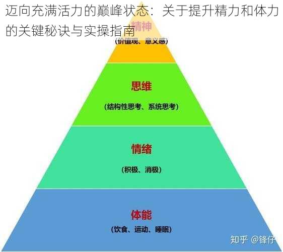 迈向充满活力的巅峰状态：关于提升精力和体力的关键秘诀与实操指南