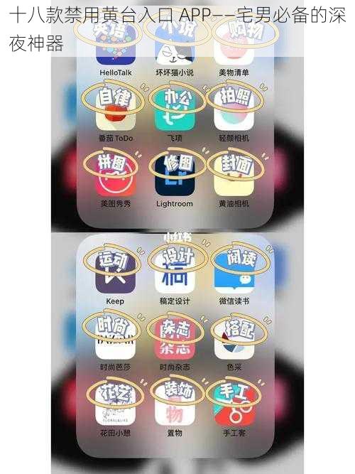 十八款禁用黄台入口 APP——宅男必备的深夜神器