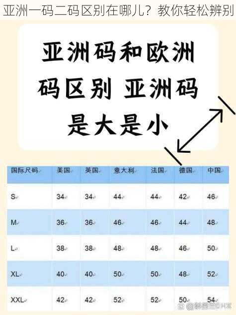 亚洲一码二码区别在哪儿？教你轻松辨别
