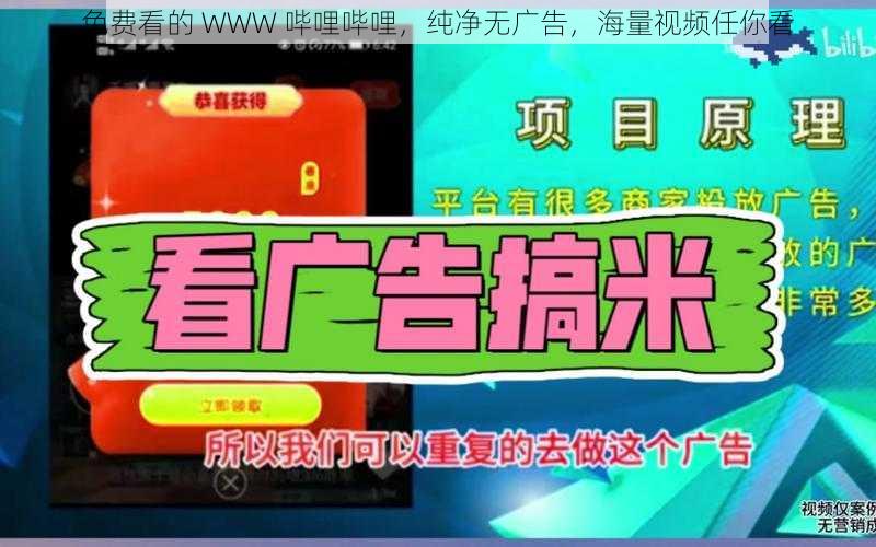 免费看的 WWW 哔哩哔哩，纯净无广告，海量视频任你看