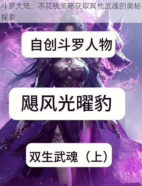 斗罗大陆：不花钱策略获取其他武魂的奥秘探索