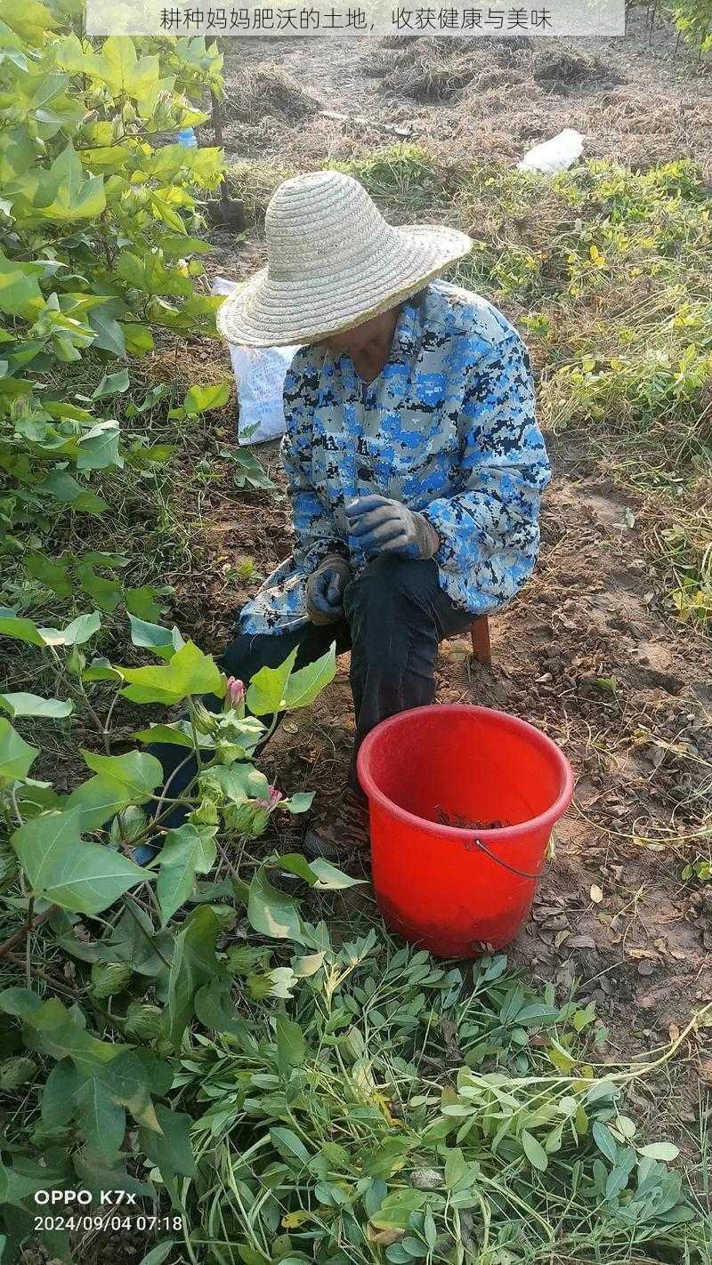 耕种妈妈肥沃的土地，收获健康与美味