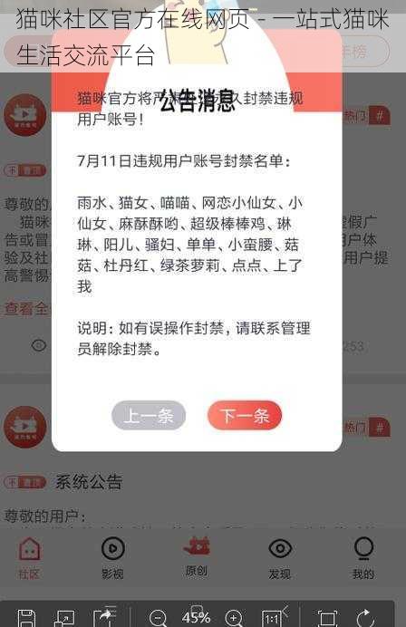 猫咪社区官方在线网页 - 一站式猫咪生活交流平台