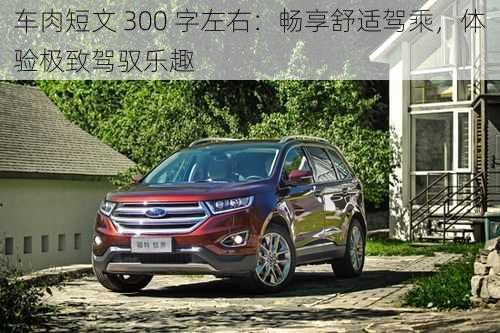 车肉短文 300 字左右：畅享舒适驾乘，体验极致驾驭乐趣