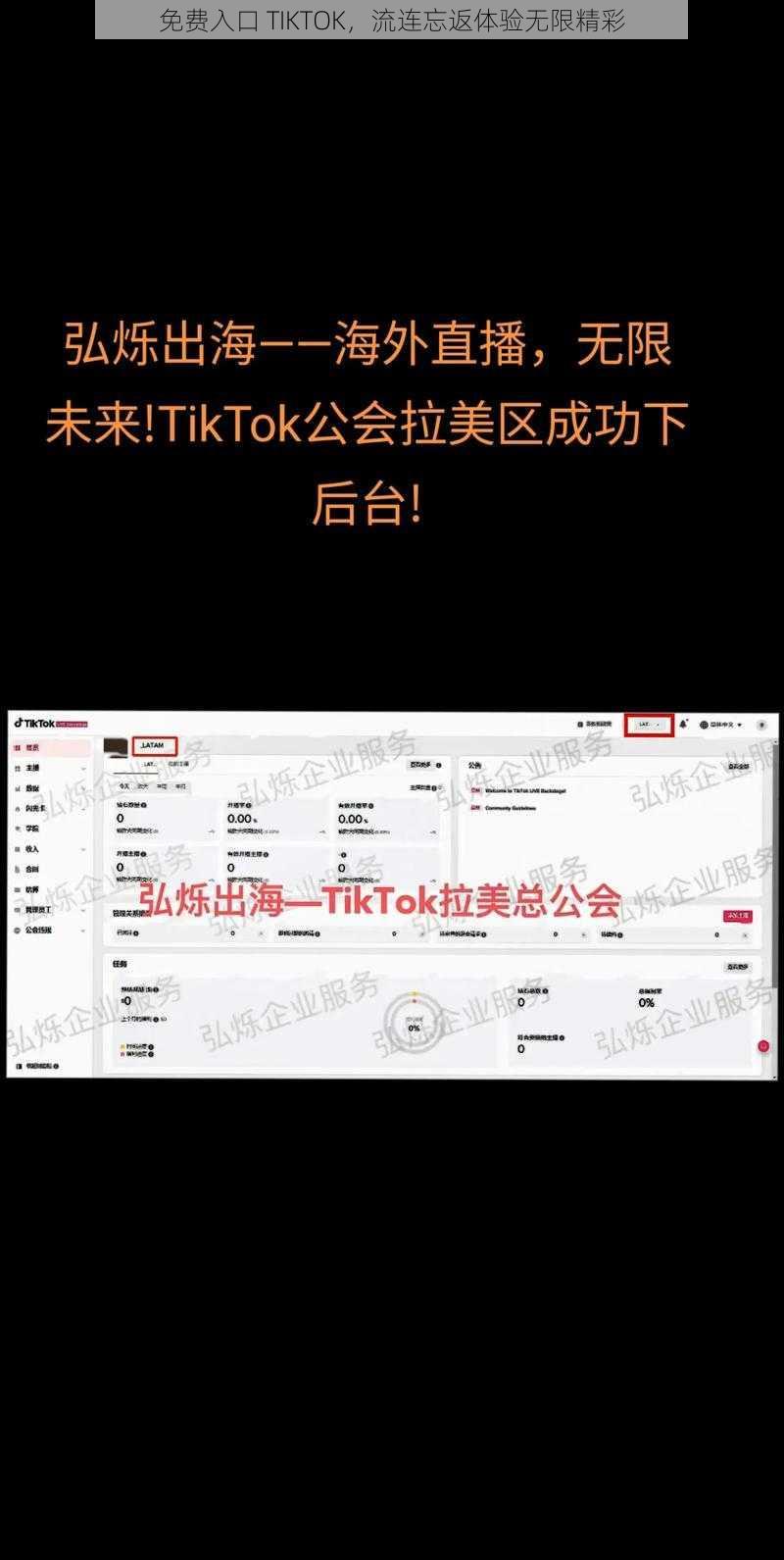 免费入口 TIKTOK，流连忘返体验无限精彩