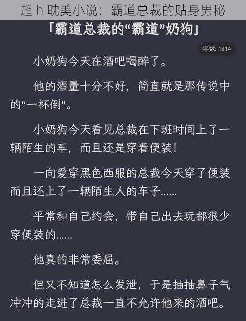 超 h 耽美小说：霸道总裁的贴身男秘