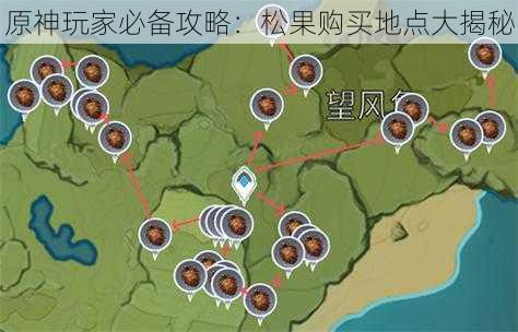 原神玩家必备攻略：松果购买地点大揭秘