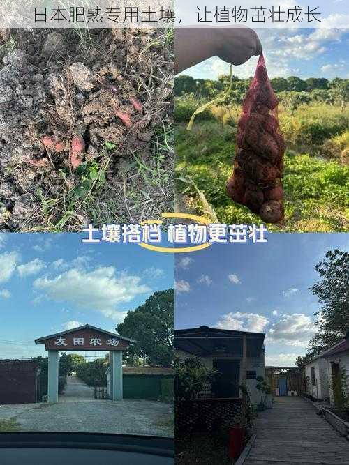 日本肥熟专用土壤，让植物茁壮成长