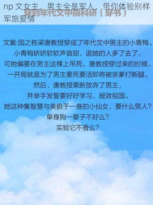 np 文女主，男主全是军人，带你体验别样军旅爱情