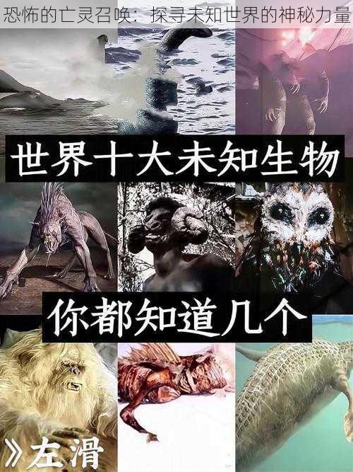 恐怖的亡灵召唤：探寻未知世界的神秘力量