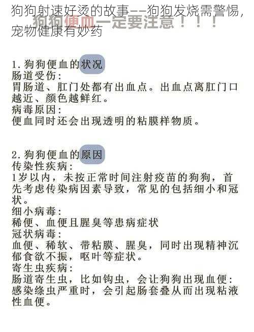 狗狗射速好烫的故事——狗狗发烧需警惕，宠物健康有妙药