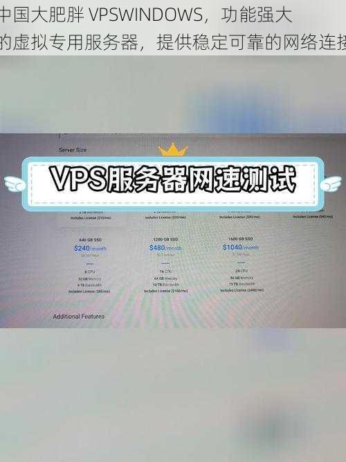 中国大肥胖 VPSWINDOWS，功能强大的虚拟专用服务器，提供稳定可靠的网络连接