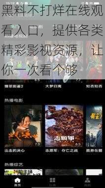 黑料不打烊在线观看入口，提供各类精彩影视资源，让你一次看个够