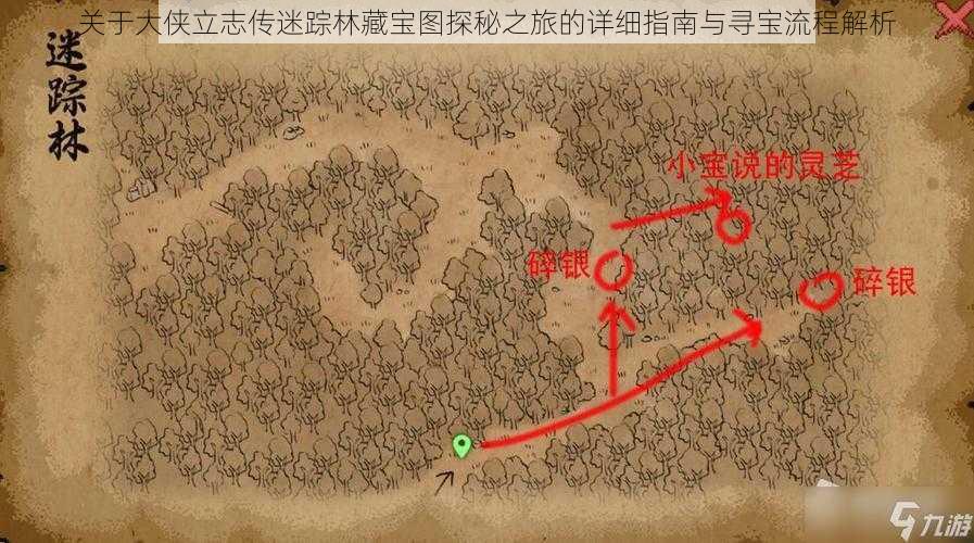 关于大侠立志传迷踪林藏宝图探秘之旅的详细指南与寻宝流程解析