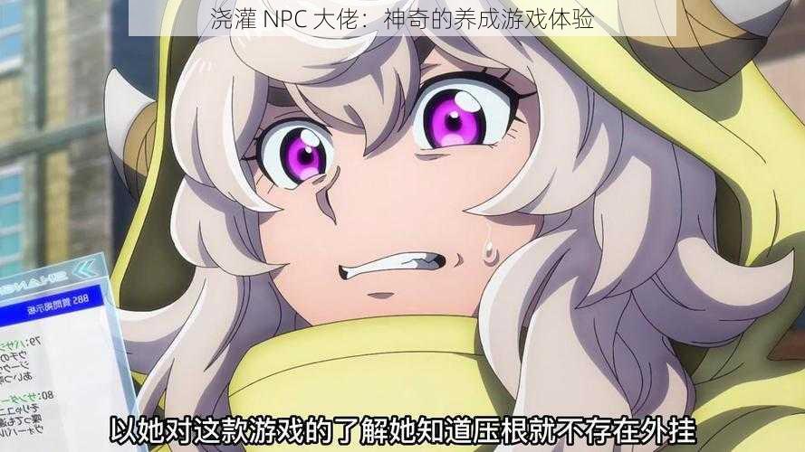 浇灌 NPC 大佬：神奇的养成游戏体验