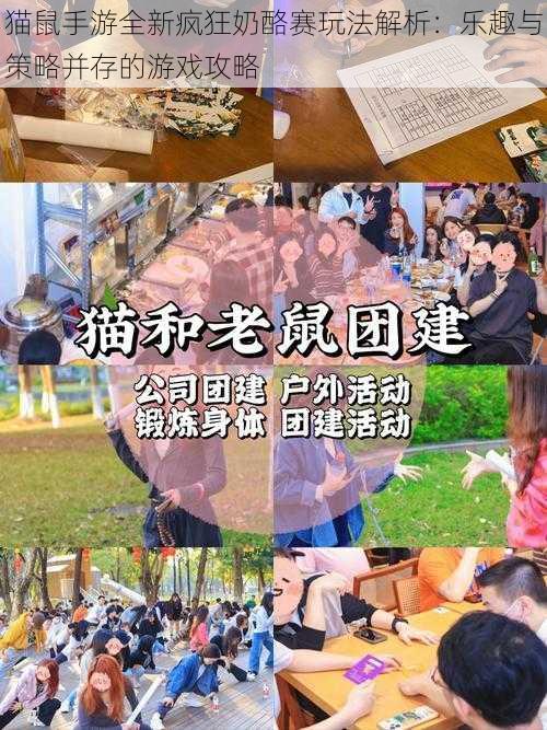 猫鼠手游全新疯狂奶酪赛玩法解析：乐趣与策略并存的游戏攻略