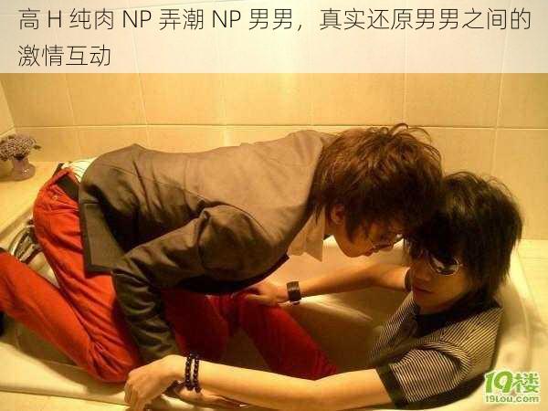 高 H 纯肉 NP 弄潮 NP 男男，真实还原男男之间的激情互动