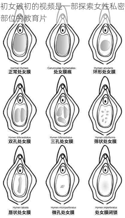 初女破初的视频是一部探索女性私密部位的教育片