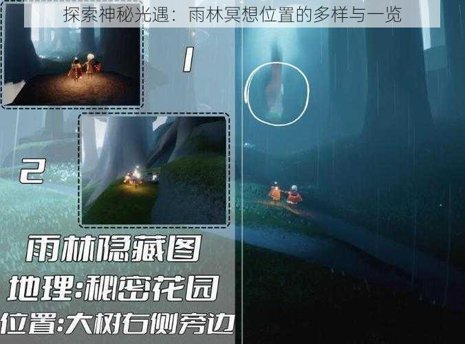 探索神秘光遇：雨林冥想位置的多样与一览