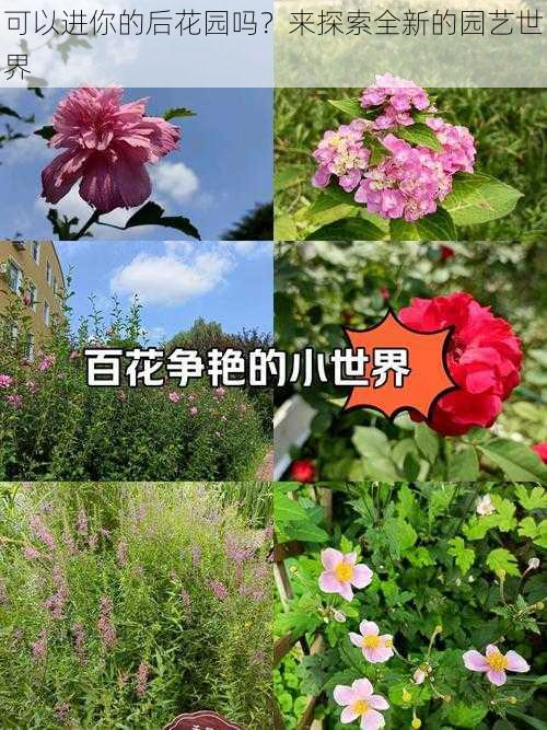 可以进你的后花园吗？来探索全新的园艺世界