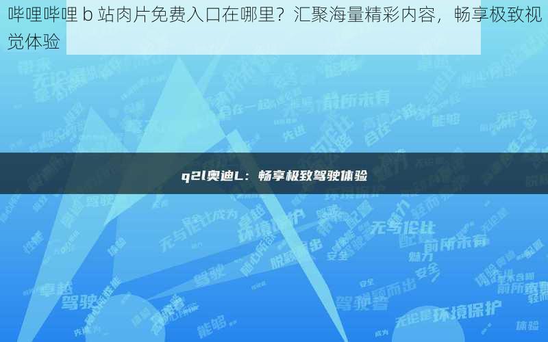 哔哩哔哩 b 站肉片免费入口在哪里？汇聚海量精彩内容，畅享极致视觉体验