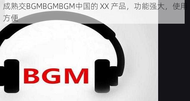 成熟交BGMBGMBGM中国的 XX 产品，功能强大，使用方便