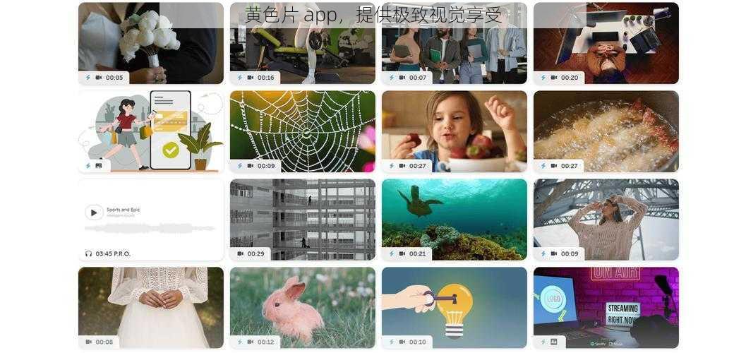 黄色片 app，提供极致视觉享受