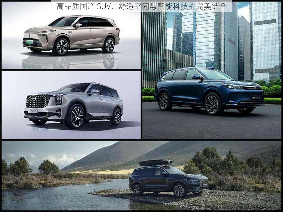 高品质国产 SUV，舒适空间与智能科技的完美结合