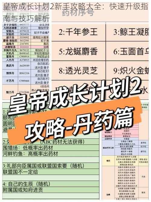 皇帝成长计划2新手攻略大全：快速升级指南与技巧解析