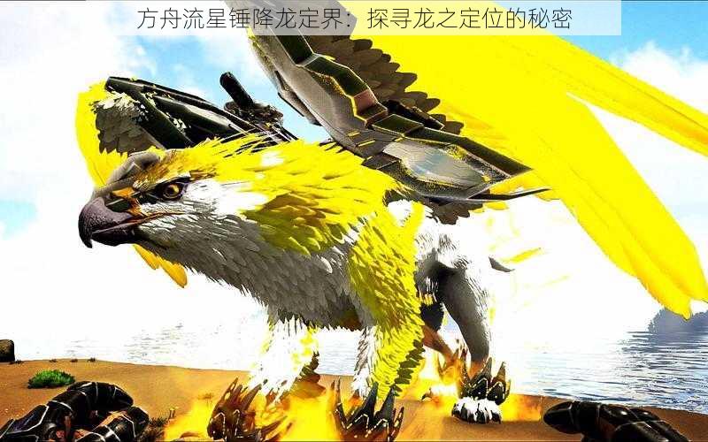 方舟流星锤降龙定界：探寻龙之定位的秘密