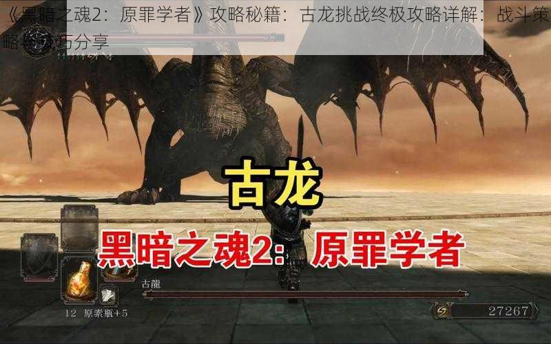 《黑暗之魂2：原罪学者》攻略秘籍：古龙挑战终极攻略详解：战斗策略与技巧分享