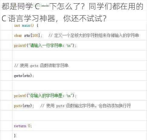 都是同学 C 一下怎么了？同学们都在用的 C 语言学习神器，你还不试试？