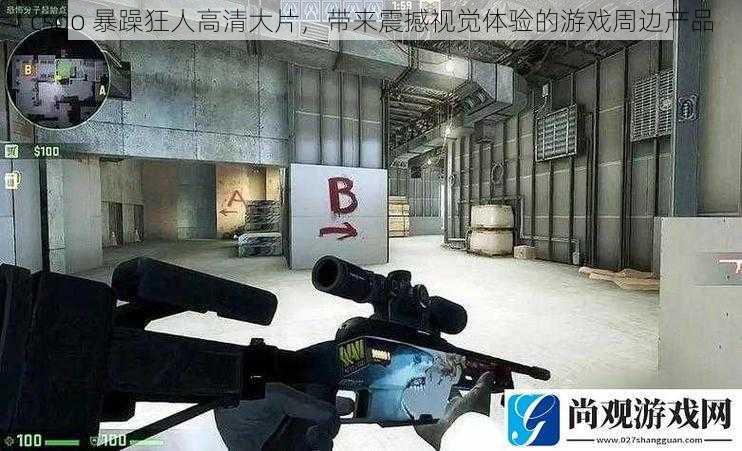 csgo 暴躁狂人高清大片，带来震撼视觉体验的游戏周边产品