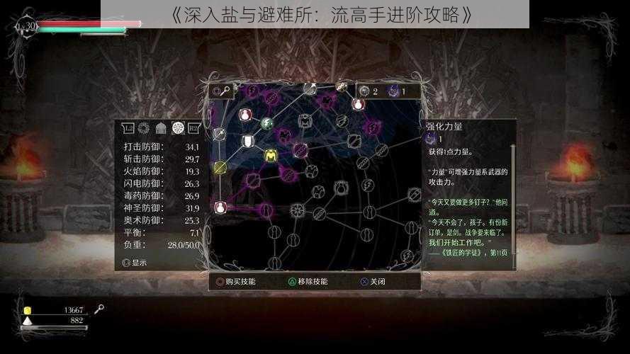 《深入盐与避难所：流高手进阶攻略》