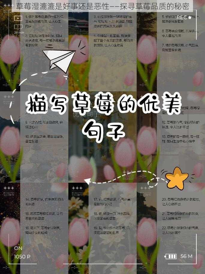 草莓湿漉漉是好事还是恶性——探寻草莓品质的秘密