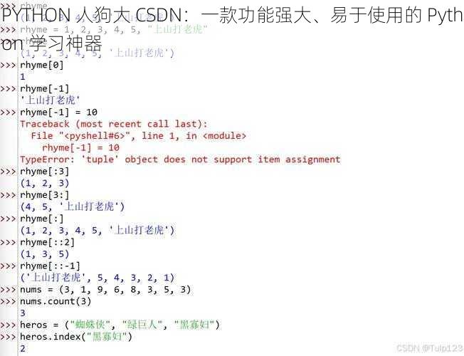 PYTHON 人狗大 CSDN：一款功能强大、易于使用的 Python 学习神器