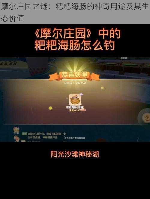 摩尔庄园之谜：粑粑海肠的神奇用途及其生态价值