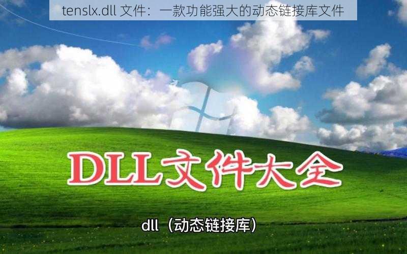 tenslx.dll 文件：一款功能强大的动态链接库文件