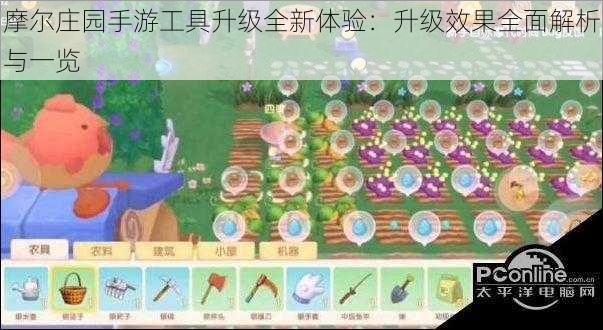 摩尔庄园手游工具升级全新体验：升级效果全面解析与一览