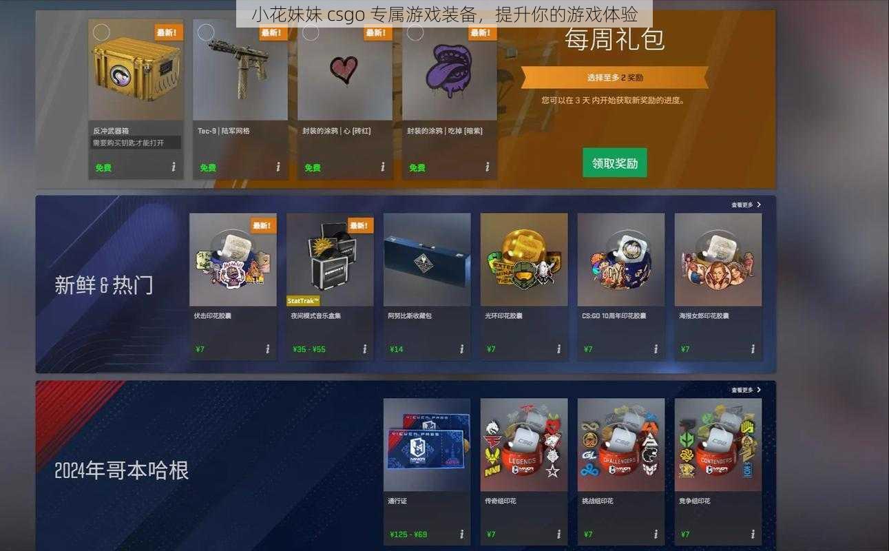 小花妹妹 csgo 专属游戏装备，提升你的游戏体验